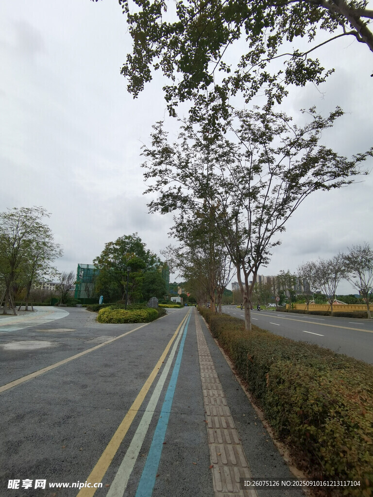 城市空旷道路旁绿植景观
