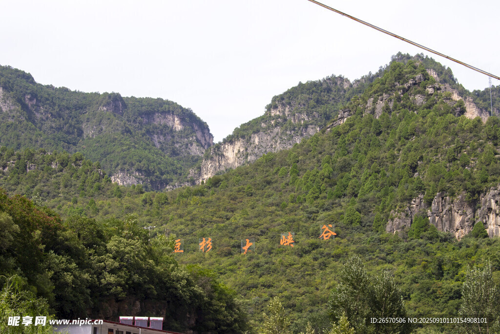 青山绿树