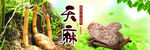 天麻设计广告标签
