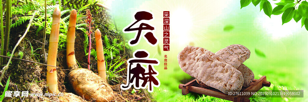 天麻设计广告标签