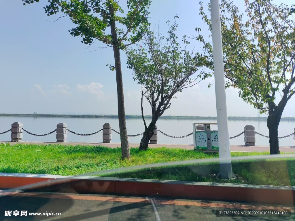 海滨路边的绿树与围栏