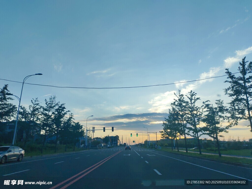 公路旁的建筑与树木景观