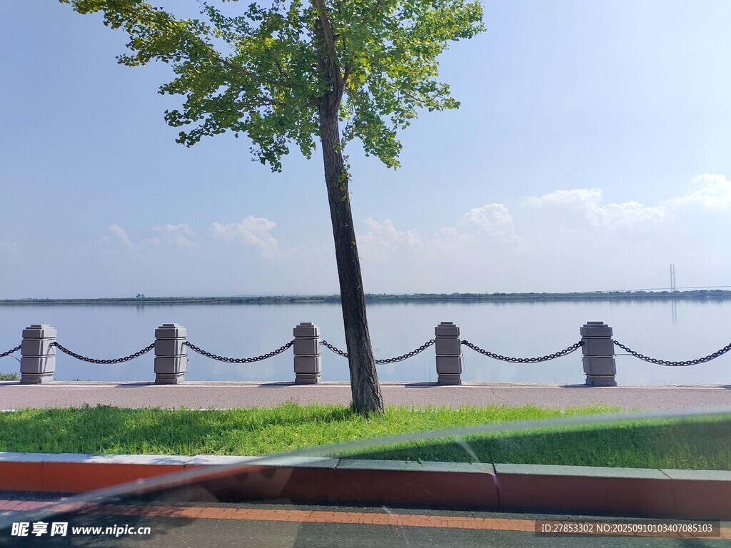 湖畔绿树风景