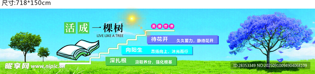 梦幻蓝天与繁花景观