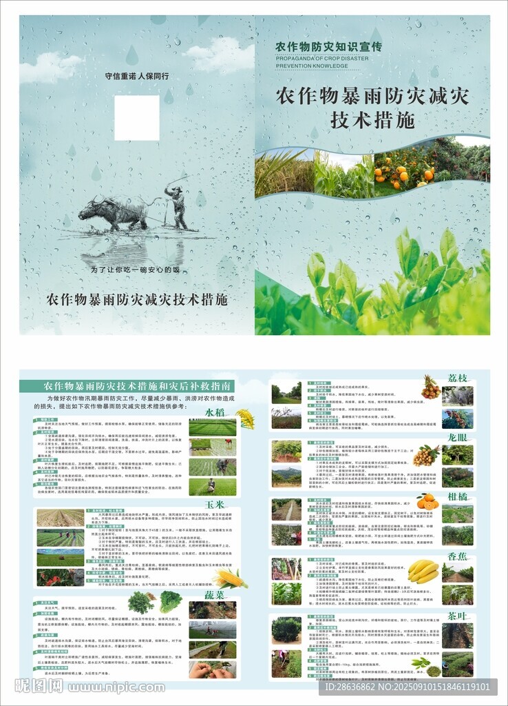 农作物防灾知识宣传