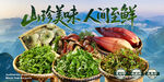 山珍美味 人间至鲜