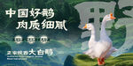 皖西大白鹅