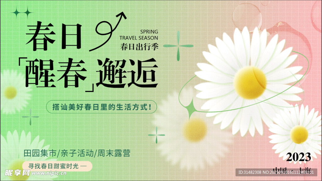 春日醒春邂逅小雏菊