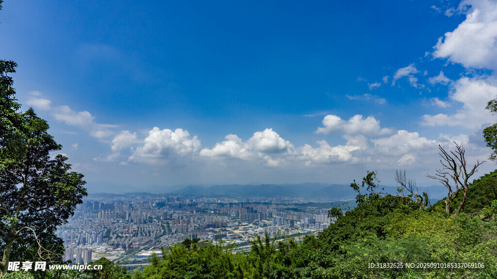 山顶俯瞰城市美景