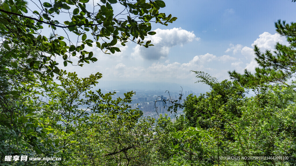 山林间的蓝天绿树景致