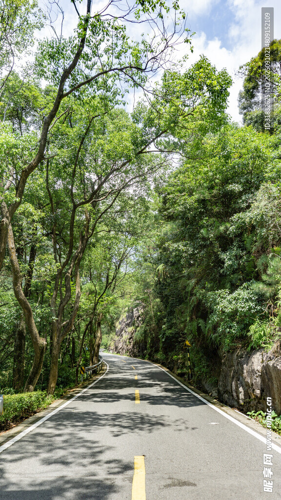 林间公路 绿意盎然的旅程