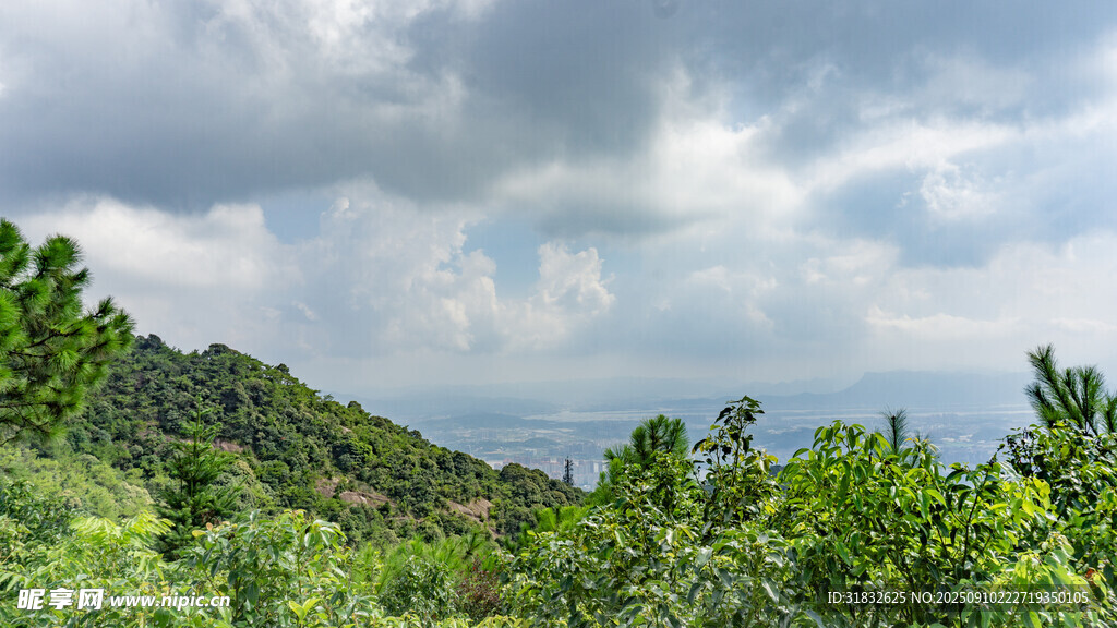青山绿树间的开阔景致