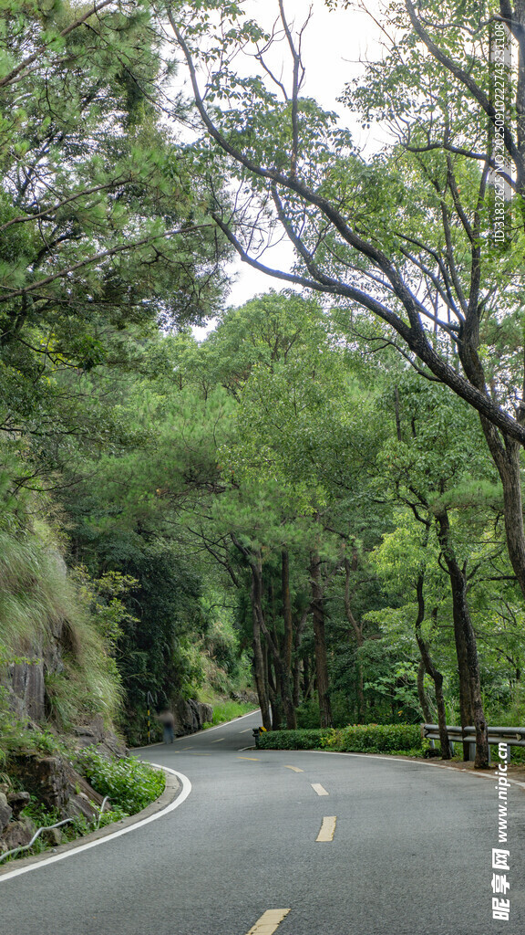 蜿蜒山林间的静谧公路