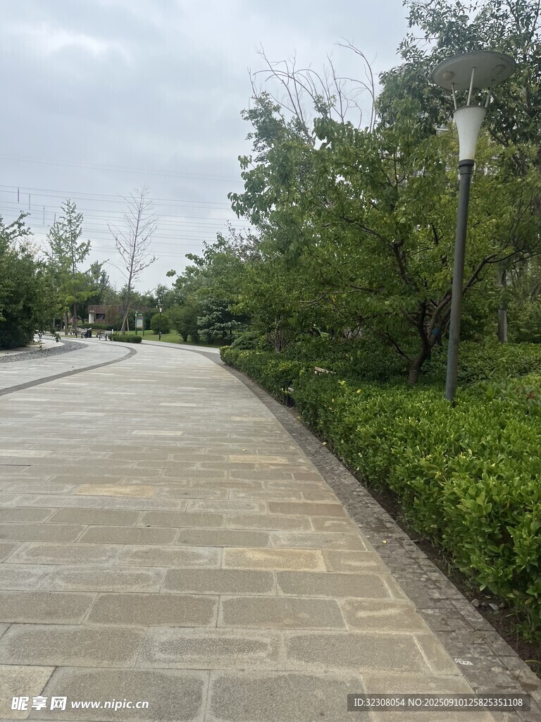 宁静的林间砖石步道