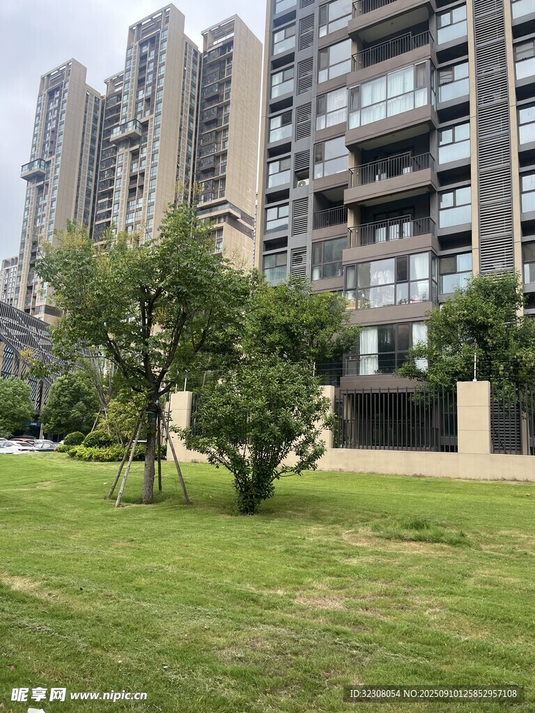 小区内的绿地与高楼景观