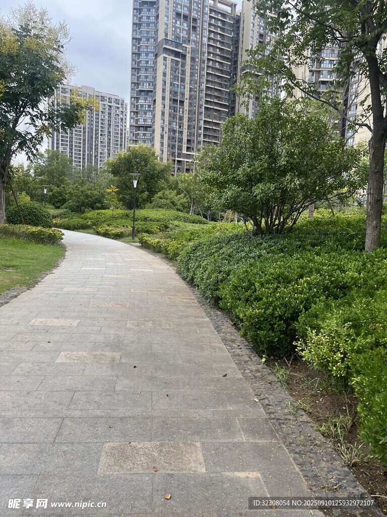 城市中的静谧林荫小径