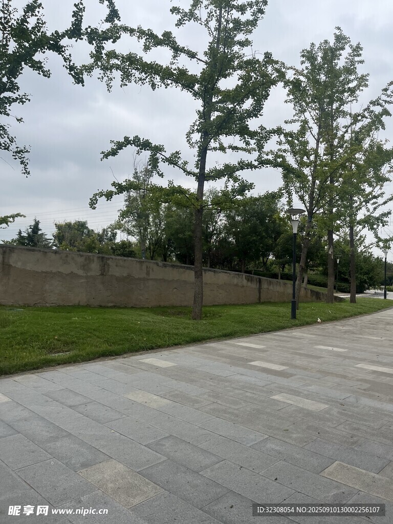 户外空旷水泥地与绿树