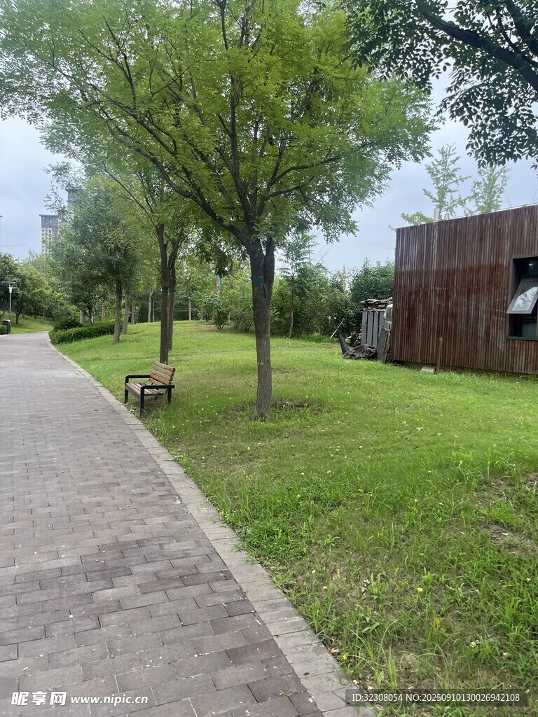 公园小径旁的绿树与建筑
