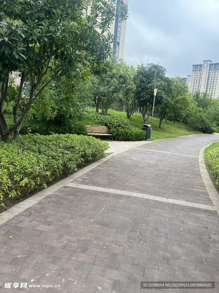 城市中的静谧林荫小道