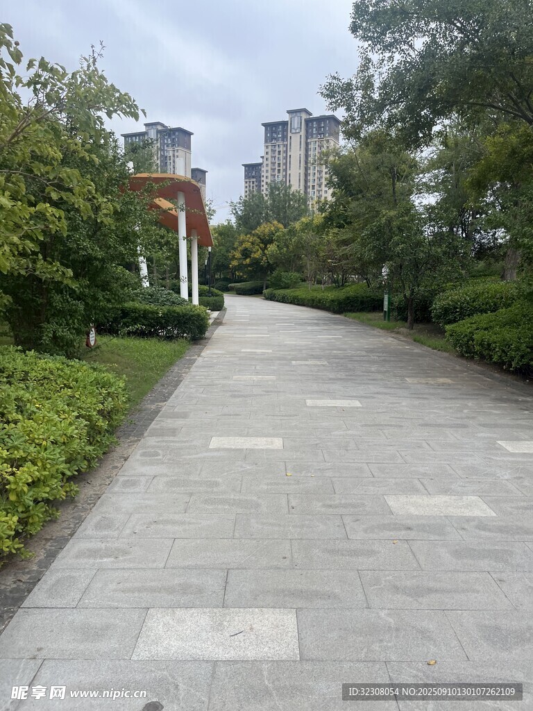 城市中的静谧林荫步道