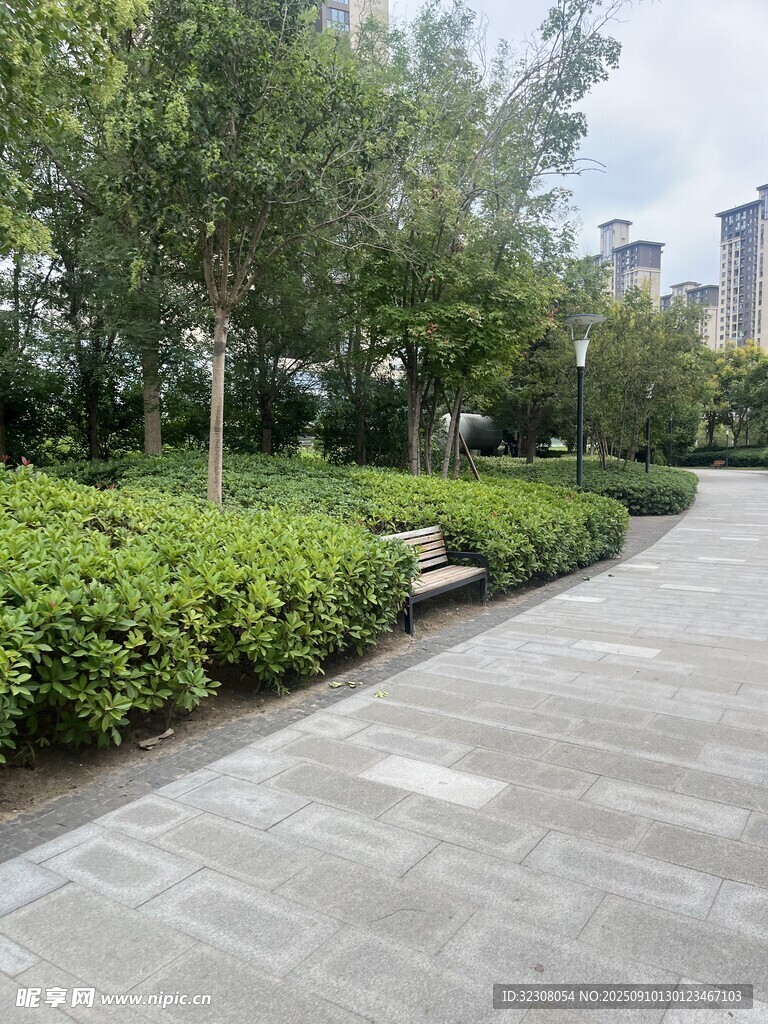 城市公园中的静谧步道