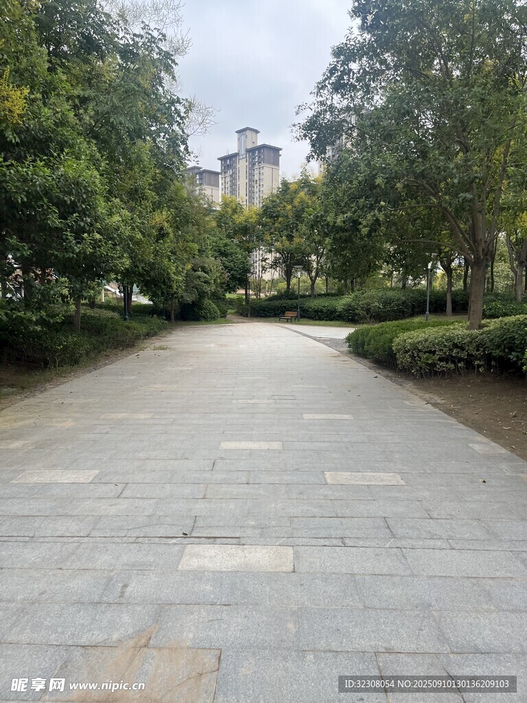 城市林荫下的静谧步道