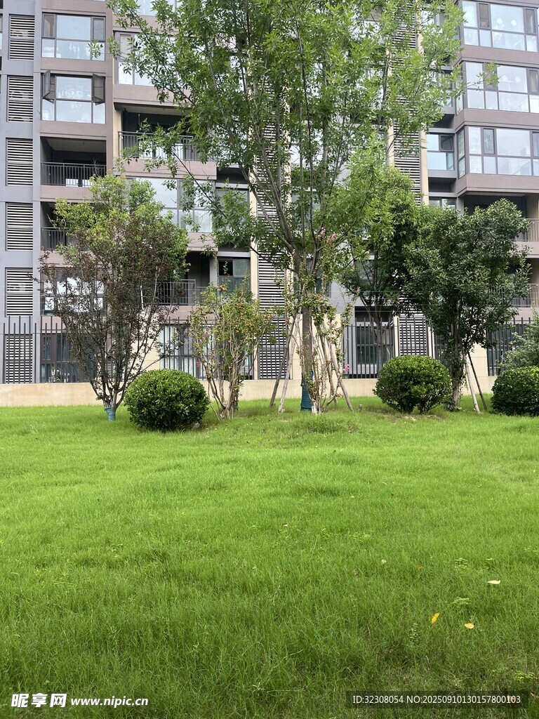 小区内绿意盎然的草坪景观