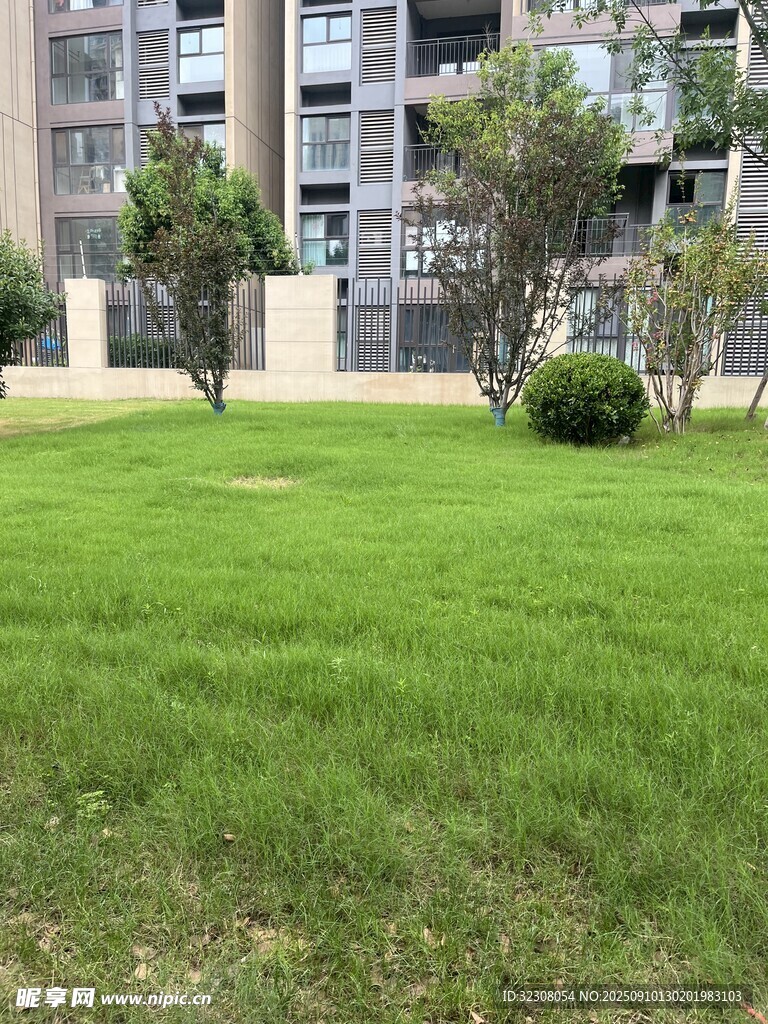 小区内的翠绿草坪景观