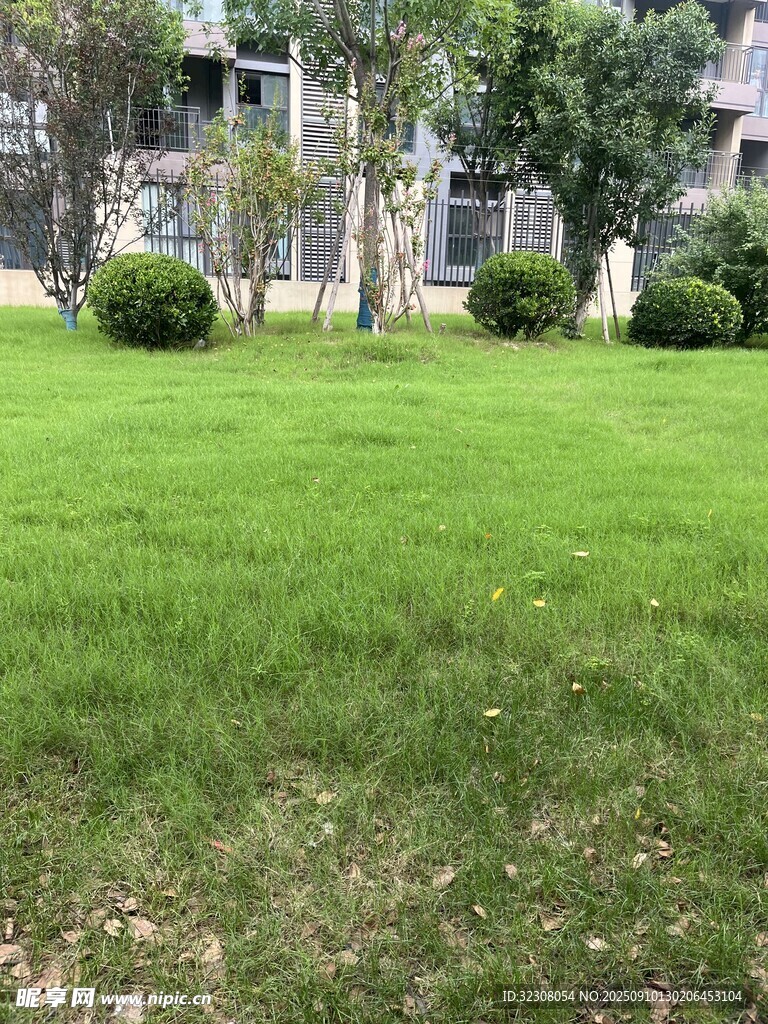 绿意盎然的小区草坪景观