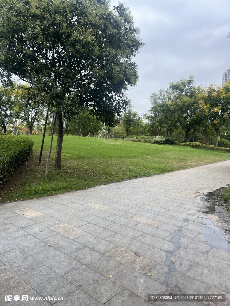 雨后公园石板路绿意景致
