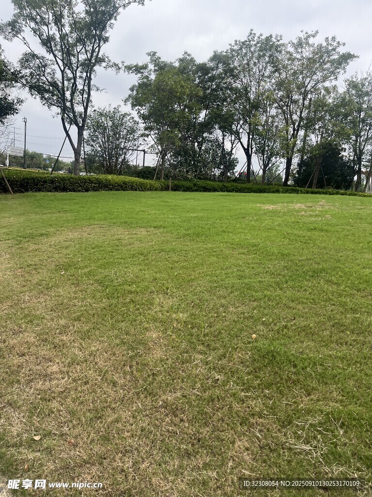 户外开阔草地与树木景观