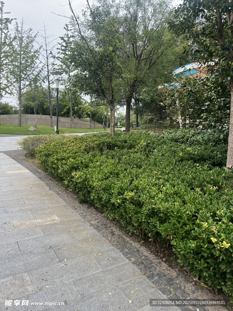 城市绿化带中的宁静小径