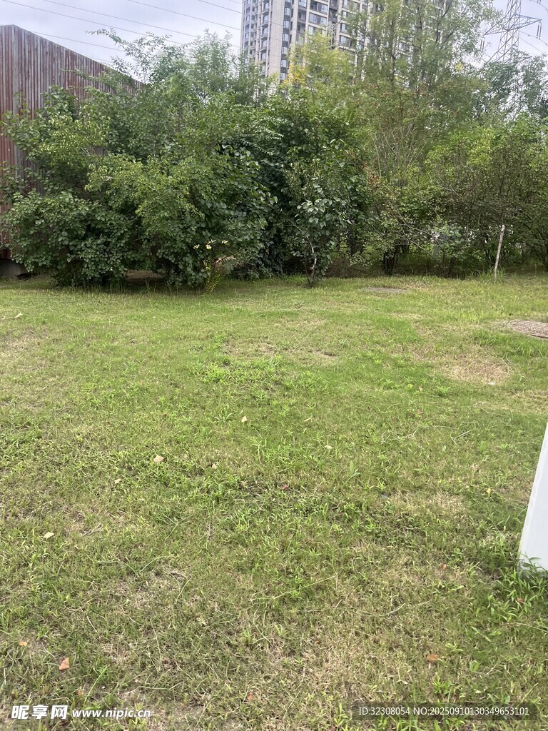 户外绿意盎然的草坪场景