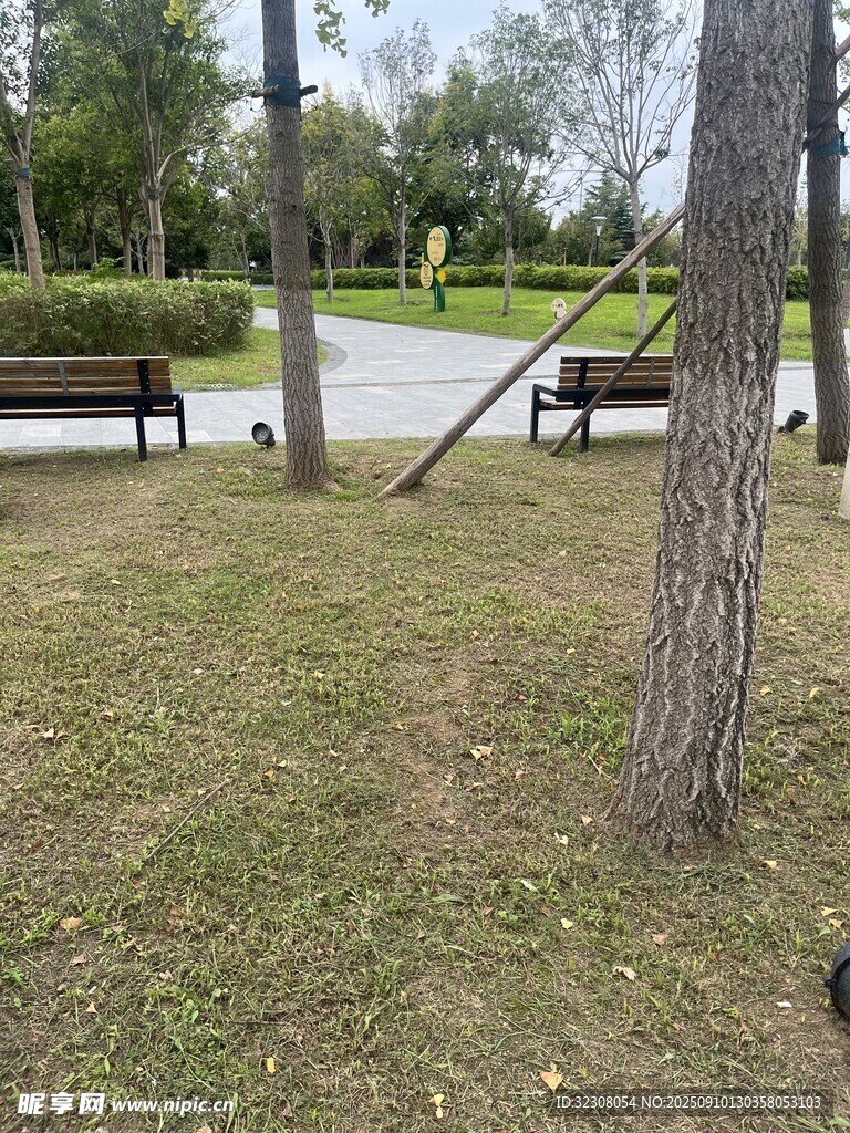 公园草地与休闲设施场景