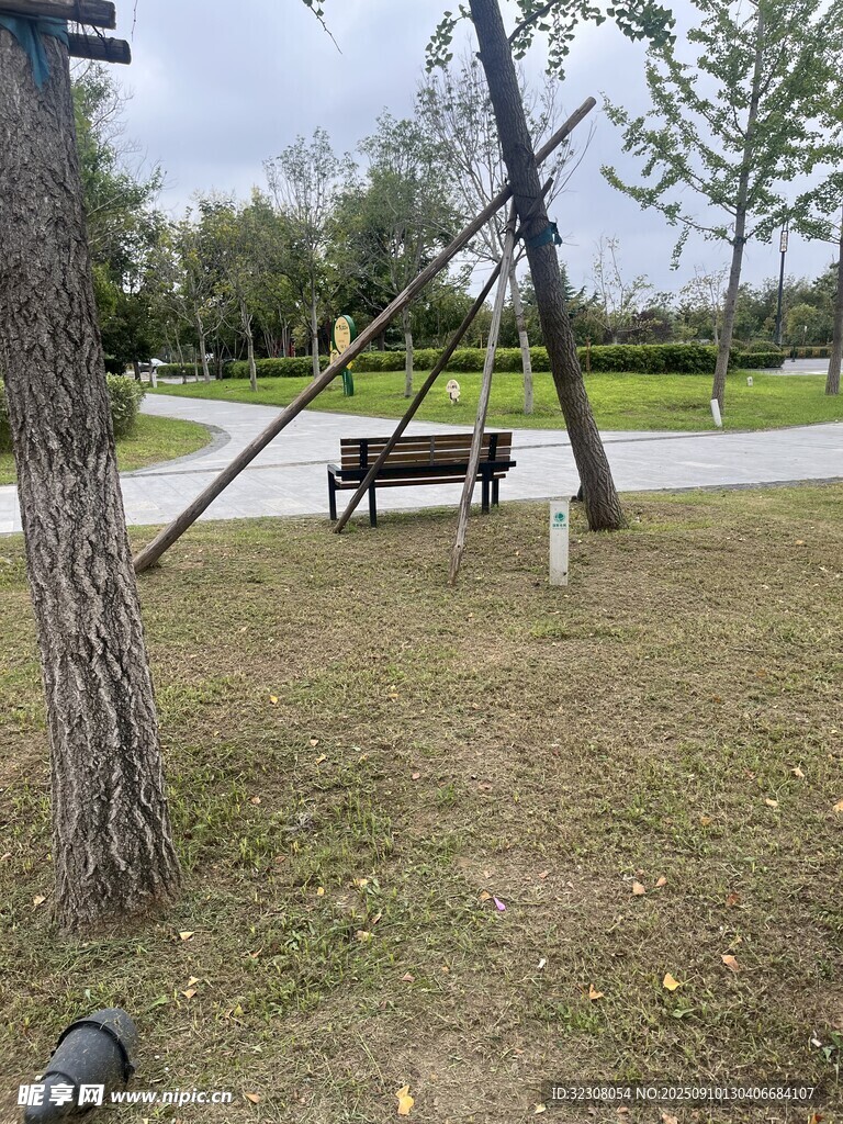 公园草地旁的休闲长椅