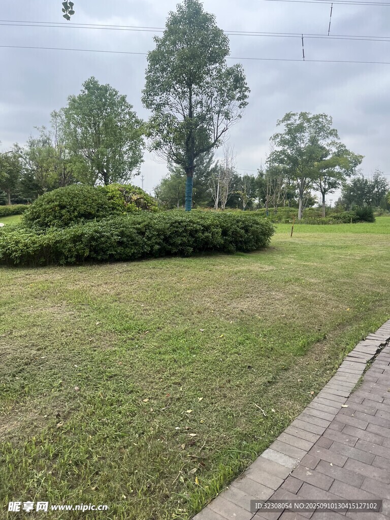 户外绿地景观