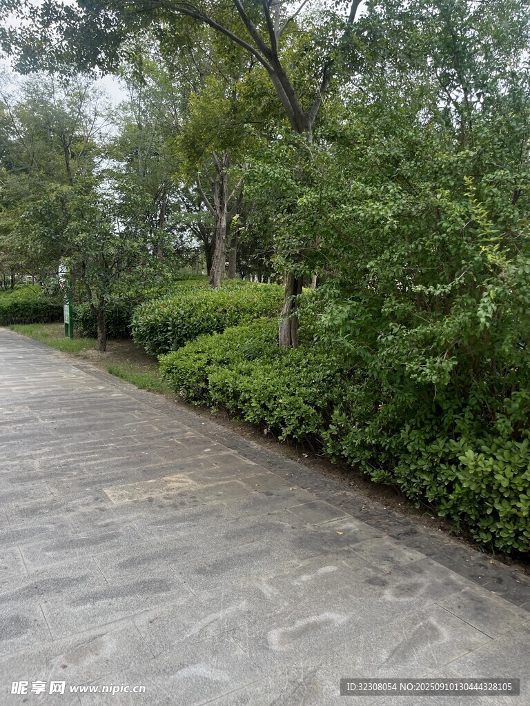 林间幽静水泥路