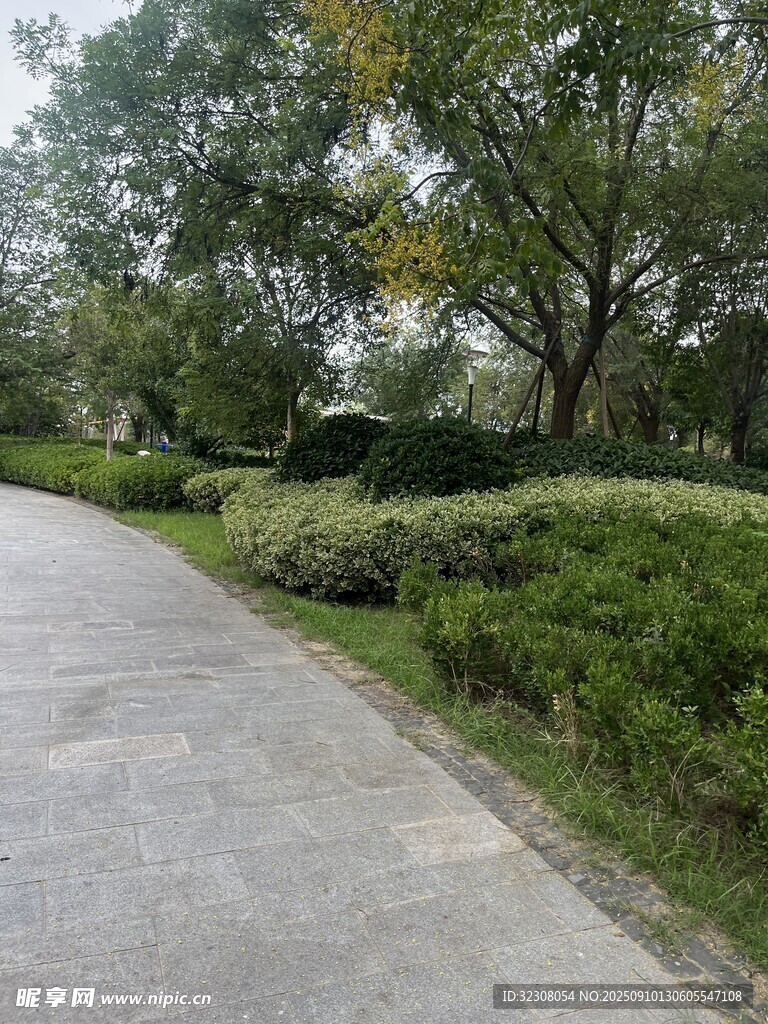 林间幽静水泥路