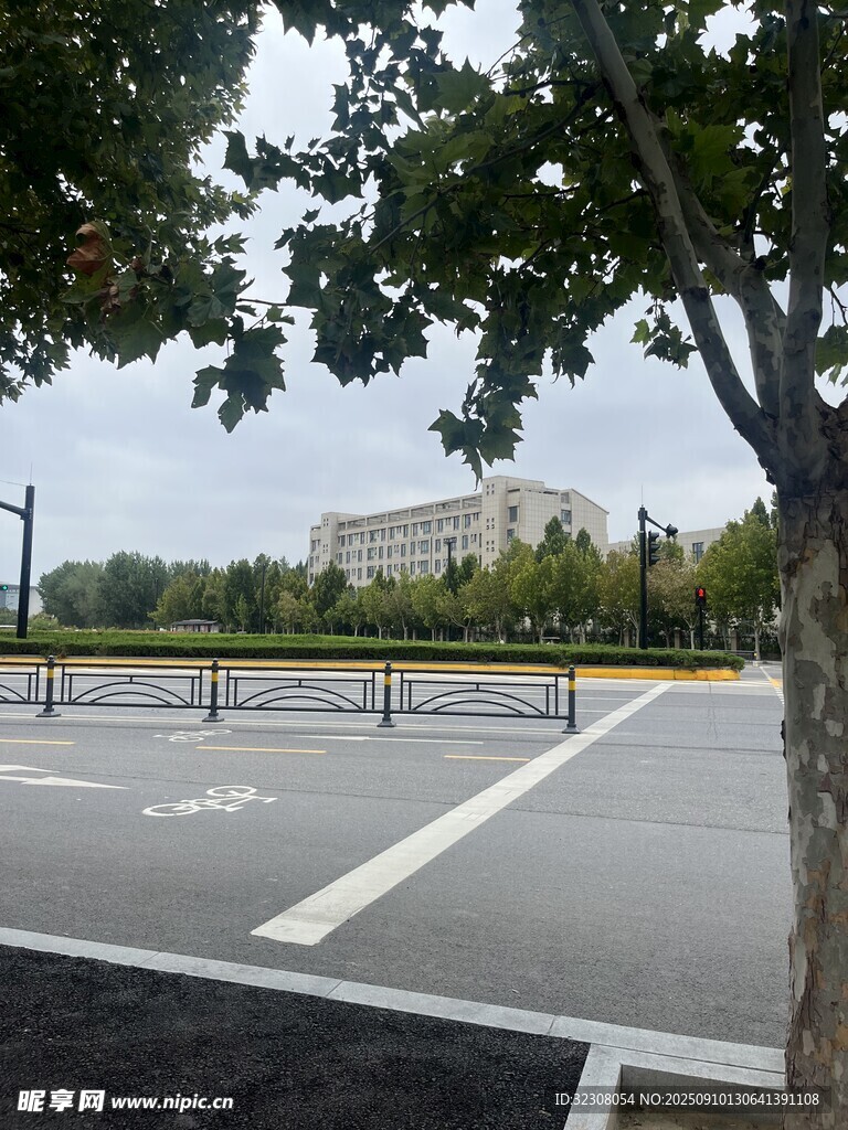 空旷城市道路与绿树景观
