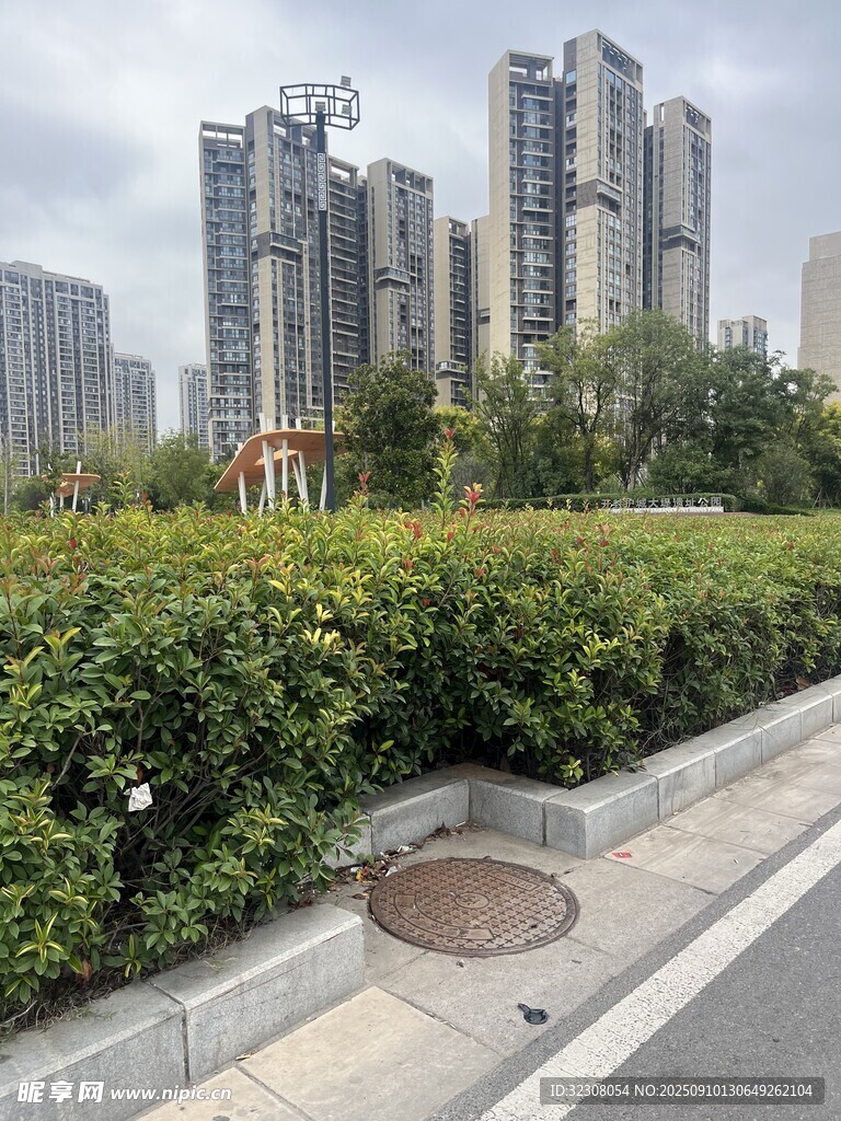 城市绿地旁的高层住宅区