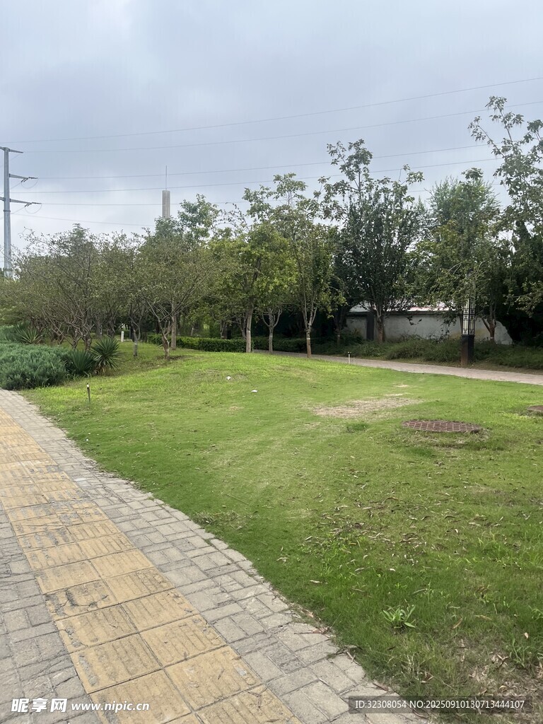 公园小径旁的翠绿草地
