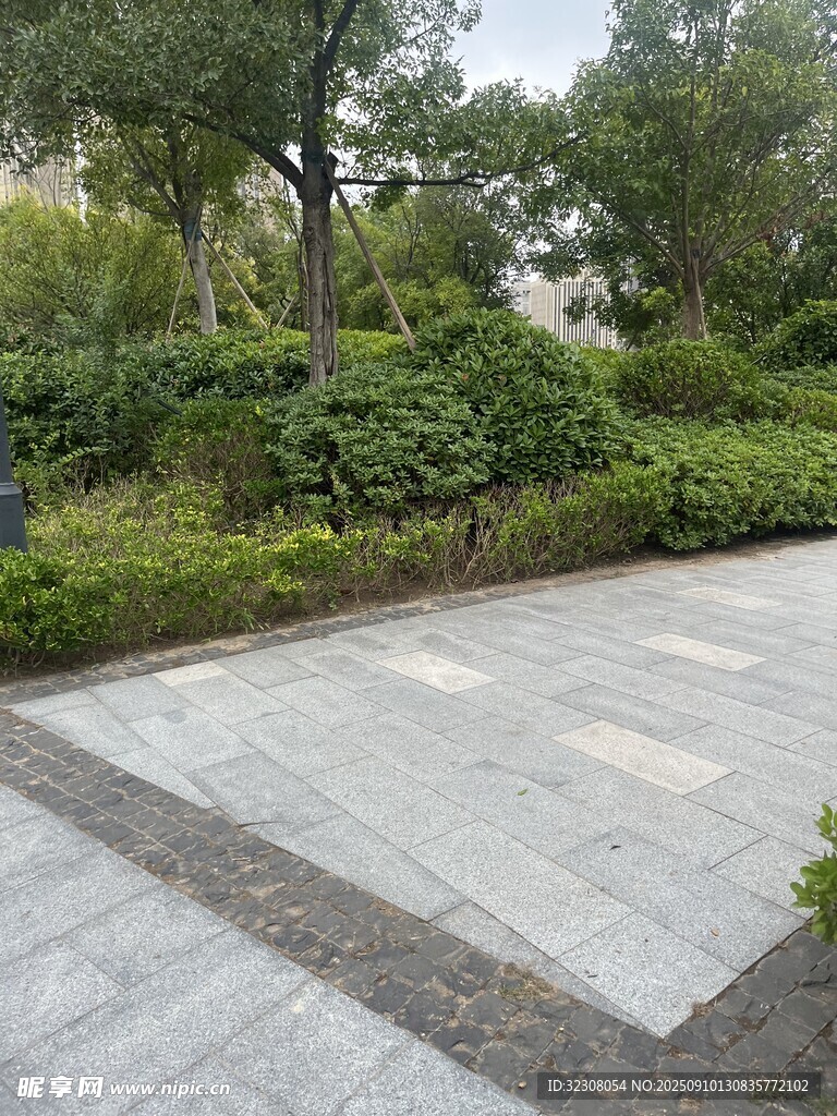 庭院石板路与绿植景观