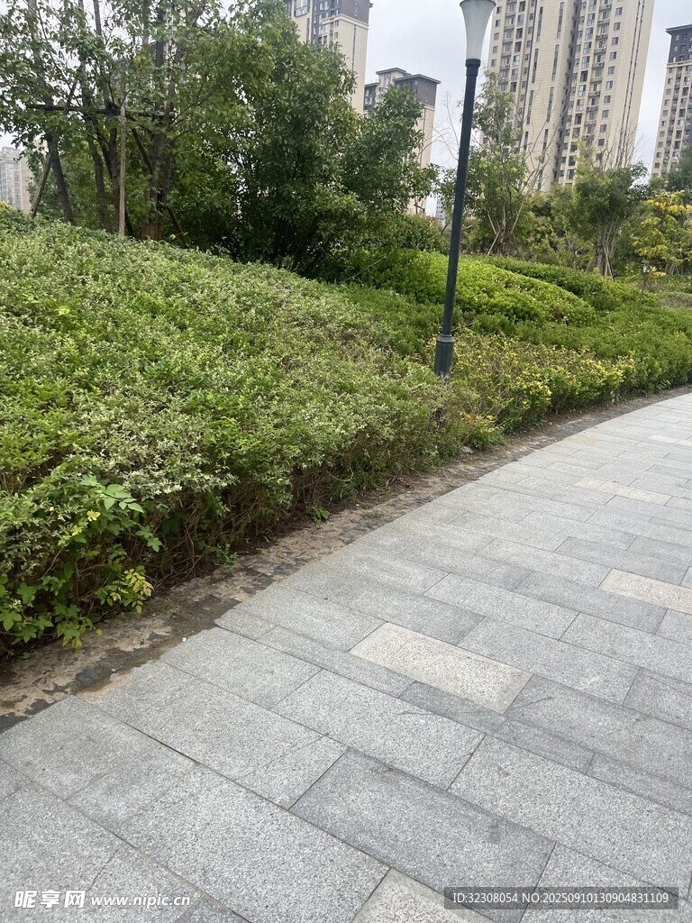 城市中整洁的绿植步道