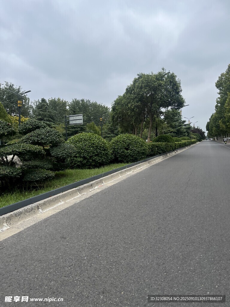 宽阔道路旁的绿植景观
