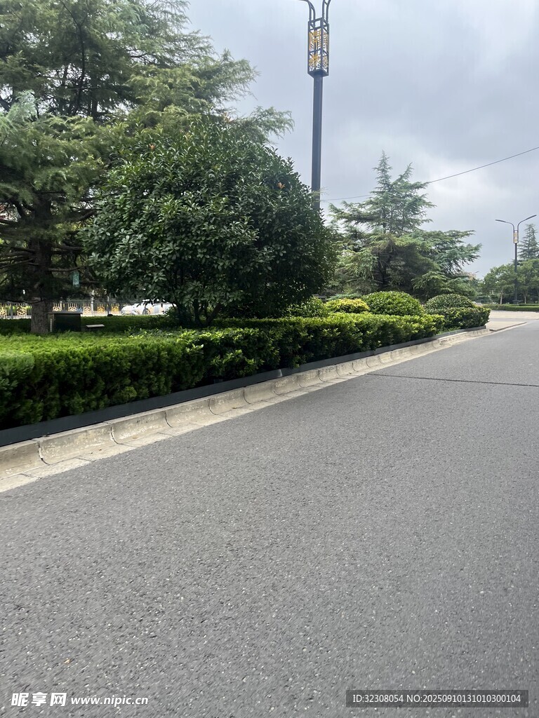 宽阔道路旁的绿植景观