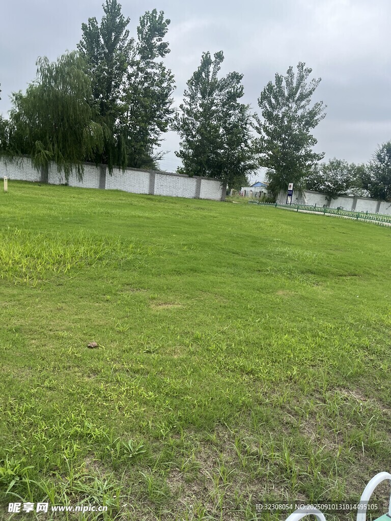 户外绿草地与树木景观