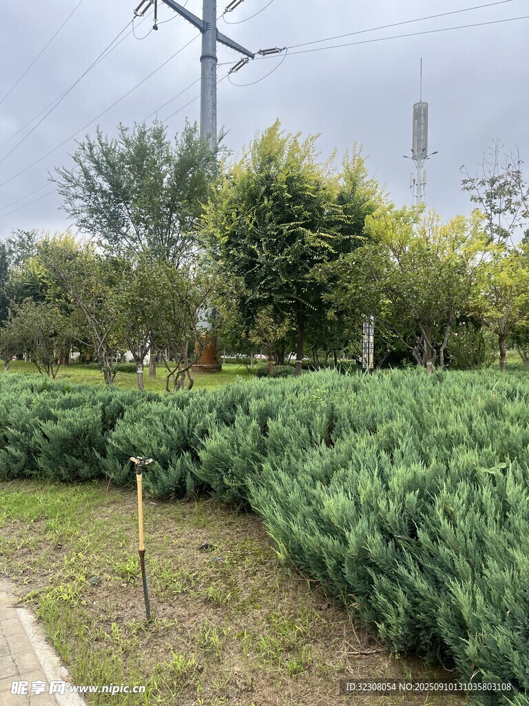户外绿植景观