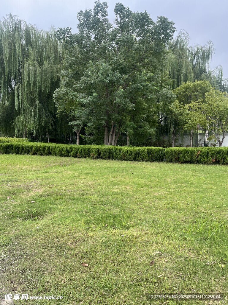 绿意盎然的户外草坪景观