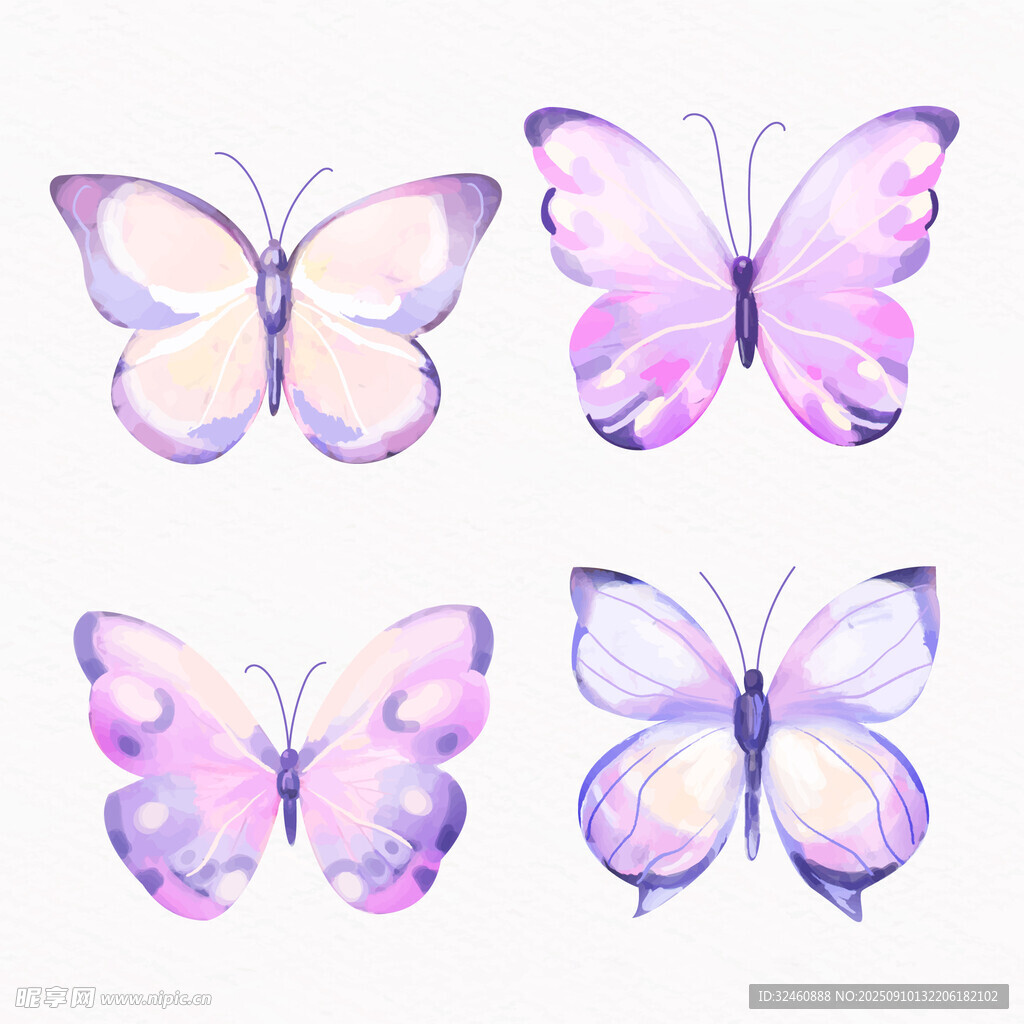 梦幻淡紫色蝴蝶插画素材