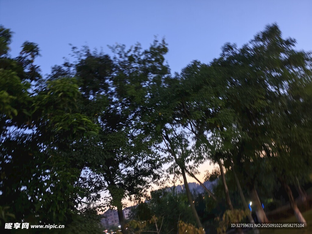 蓝天绿树风景图